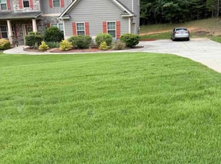 Michelle P.'s turf care service result