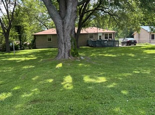 Troy S.'s turf care service result