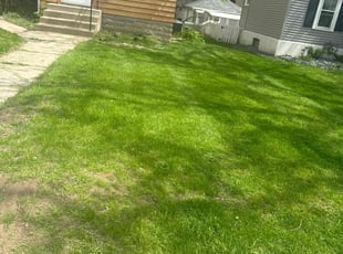 Nick I.'s grass cutting service result