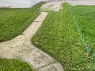 Katharina V.'s lawn care service result