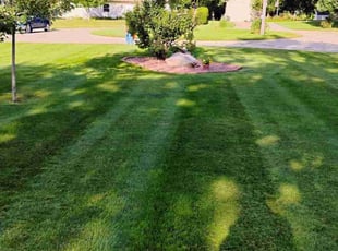 Ross M.'s turf care service result