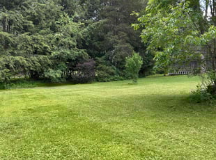 Nicole T.'s lawn care services service result