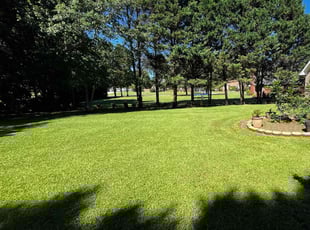 Rose I.'s lawn care service result