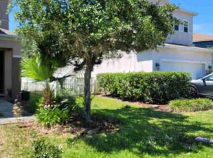 Joey C.'s Bush Trimming service result