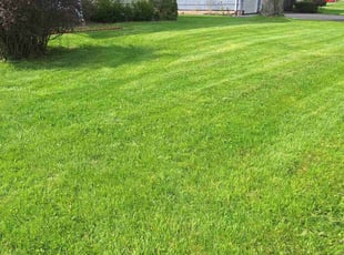 Lakiesha B.'s lawn service service result
