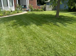 Mohammed Q.'s turf maintenance service result