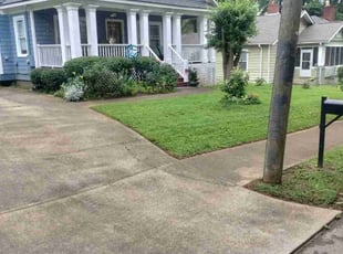 Katie V.'s turf maintenance service result