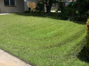 Victor F.'s grass maintenance service result