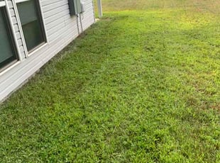 Mary C.'s grass cutting service result