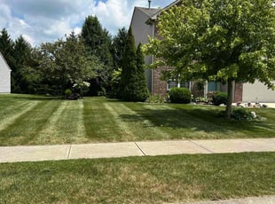 Carol T.'s grass maintenance service result