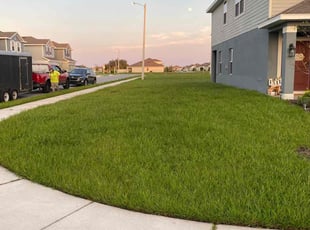 Bill M.'s grass maintenance service result