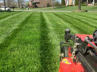 Jason B.'s grass cutting service result