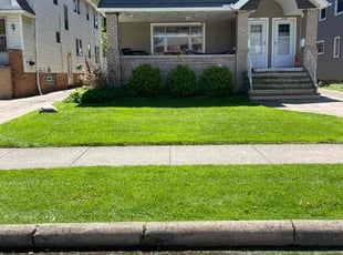 Dan M.'s landscaping service result