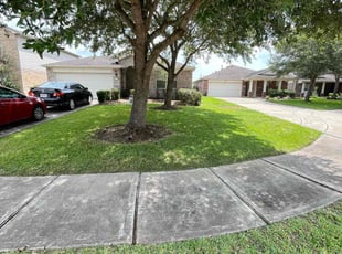 Jumarrey G.'s turf care service result