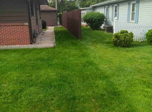 Joe G.'s turf care service result