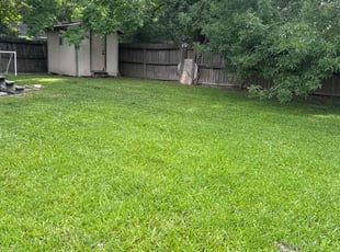 Nathaniel G.'s lawn maintenance service result