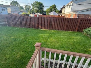 Derrick T.'s lawn care services service result