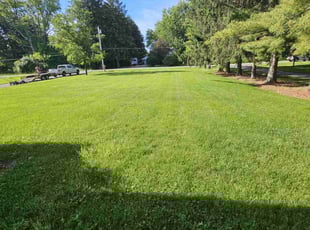 Steve F.'s lawn maintenance service result