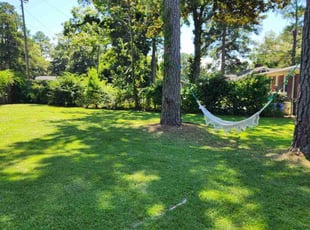 Steve L.'s grass maintenance service result