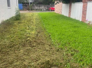 Susana R.'s turf maintenance service result