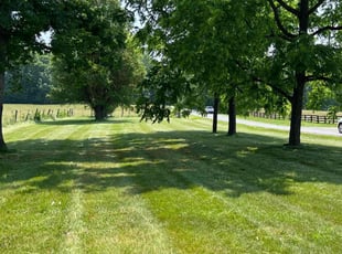 Mary G.'s lawn maintenance service result