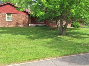 Sandra C.'s grass maintenance service result