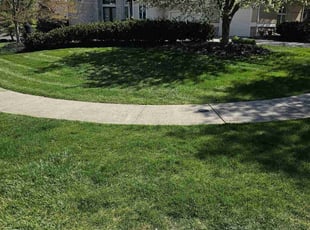 Chelsea P.'s lawn care service result