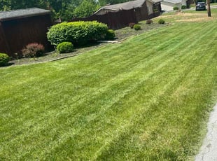 Julius W.'s lawn care service result