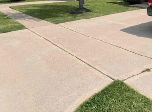 Renee D.'s lawn care services service result