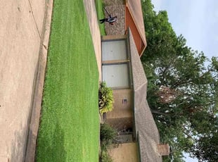 Samuel B.'s landscaping service result