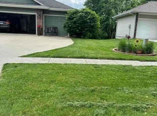 Alethea W.'s lawn maintenance service result