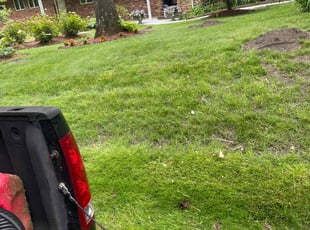 Edison W.'s grass cutting service result
