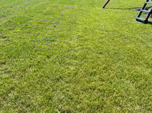 Brian O.'s lawn maintenance service result