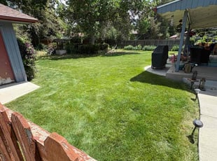 Rhonda M.'s lawn service service result