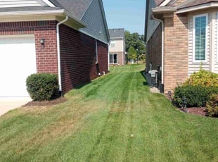 Lindsey T.'s lawn maintenance service result
