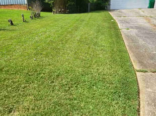 Linda M.'s grass cutting service result