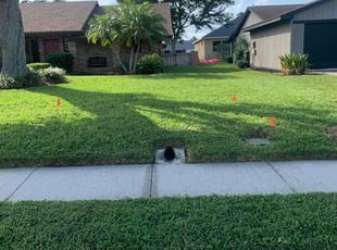Patricia O.'s lawn care services service result