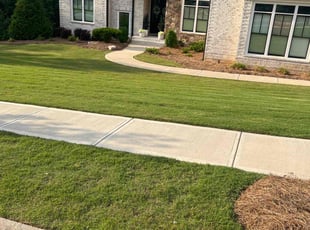 Tyler D.'s grass cutting service result