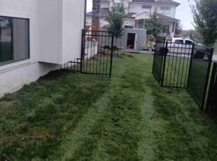 Joe O.'s lawn maintenance service result
