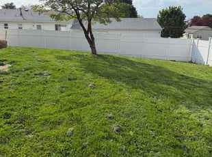 Hikiela W.'s lawn care service result