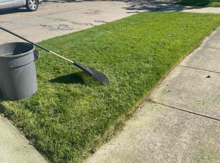 Ellen U.'s grass maintenance service result