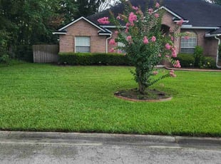 Rick F.'s lawn service service result