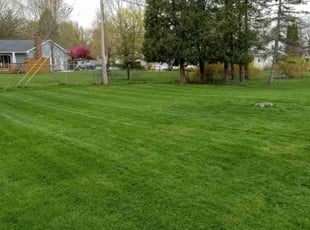 Steven B.'s lawn care services service result