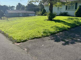 Monique S.'s lawn service service result