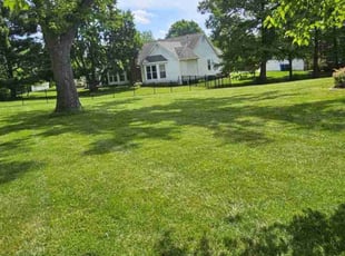 Jhonson A.'s grass cutting service result