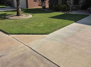 Herman M.'s lawn care service result