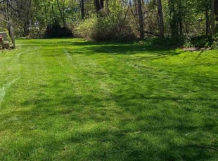 Kylie S.'s turf care service result