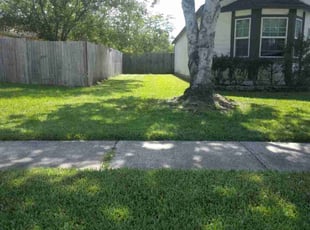 Beverly W.'s turf care service result