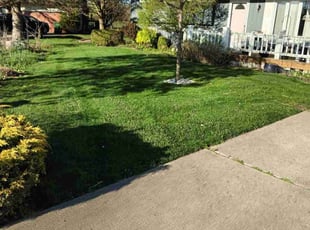 Craig W.'s lawn care service result