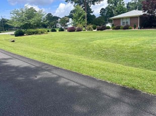 John H.'s grass maintenance service result